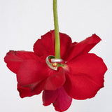 Rose Ring Slim Mix