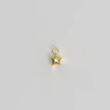 Star Charm Plated