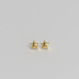 Star Ear Studs Plated